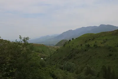 [Aktash], [Aktash]