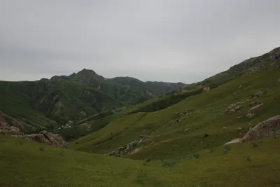 Ayriqiya