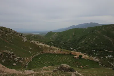 Ayriqiya