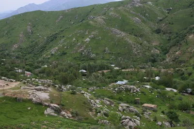 Ayriqiya