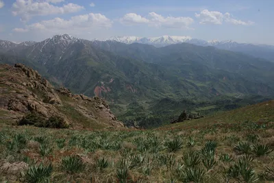 Нижний ярус, district de Bostanliq