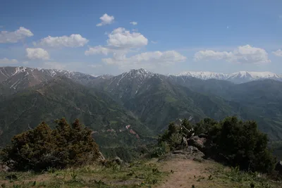 Нижний ярус, district de Bostanliq