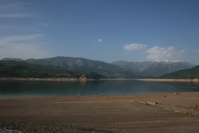 Chorvoq oromgohi, Novobod