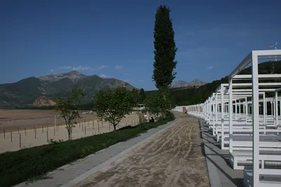 Chorvoq oromgohi, Novobod